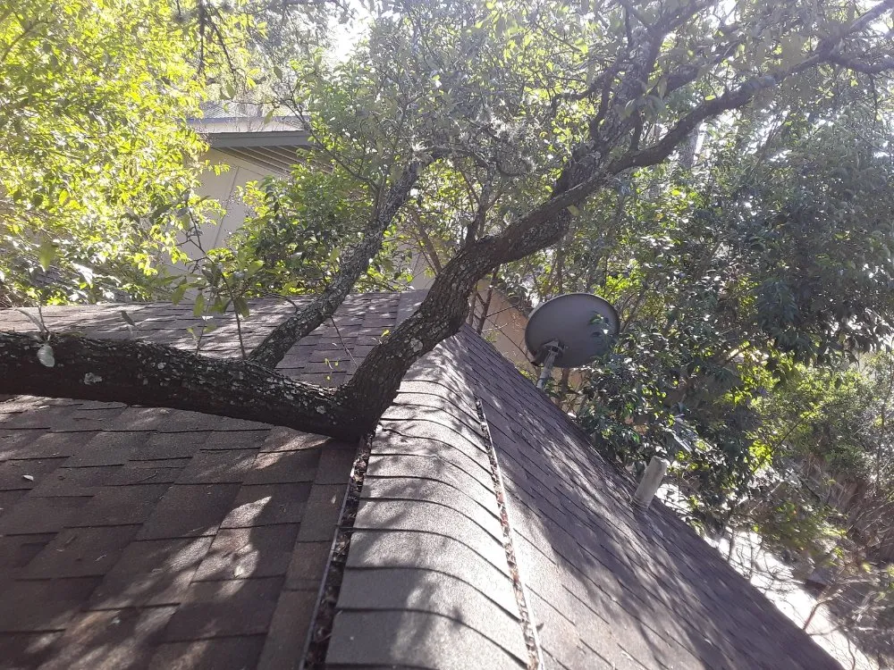 Trusted residential landscaping in Kyle, TX by Diaz Trimming Services