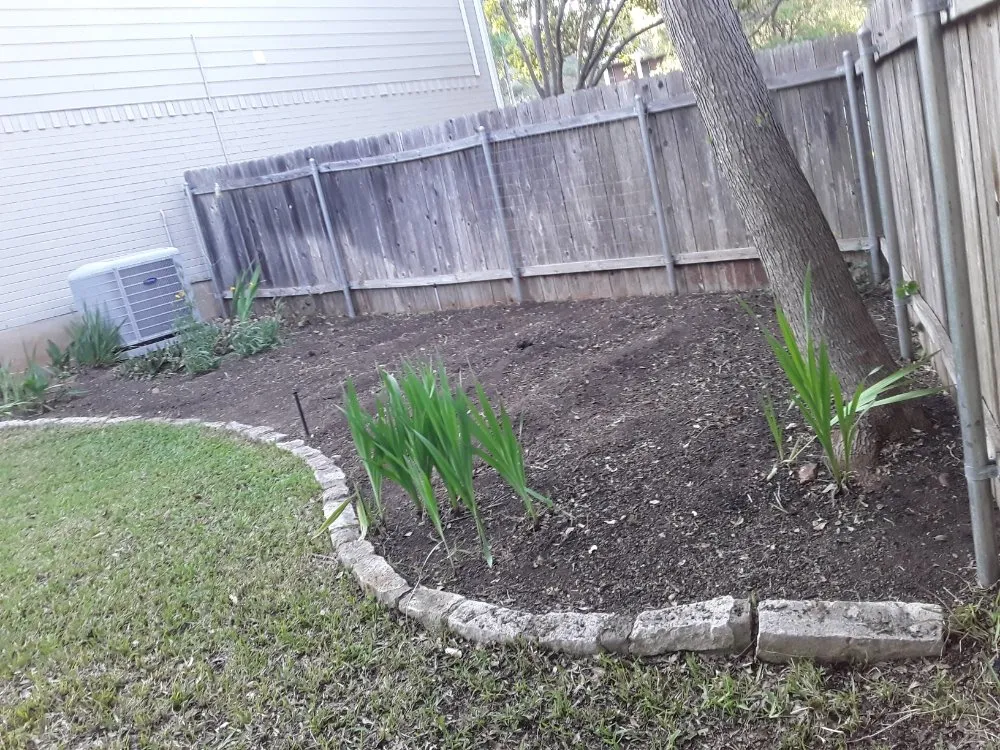 Trusted yard cleanup service near you in Kyle, TX by Diaz Trimming Services