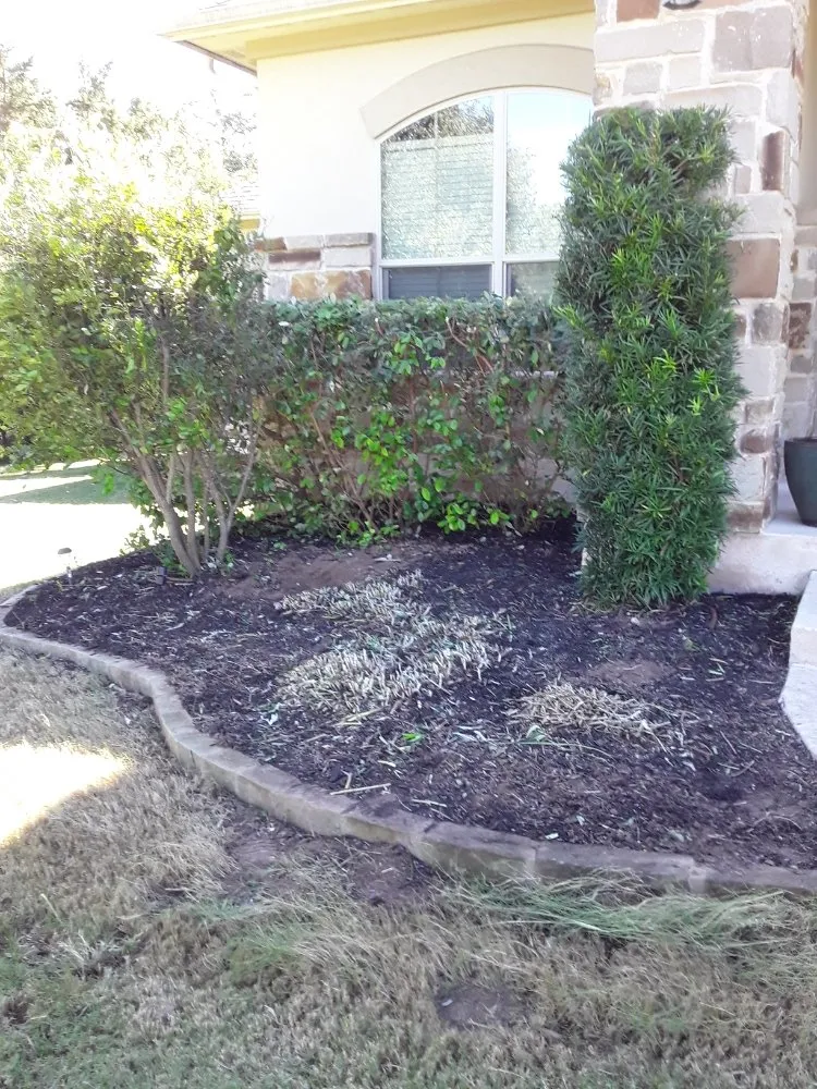 Trusted lawn care service experts serving Kyle, TX - Diaz Trimming Services