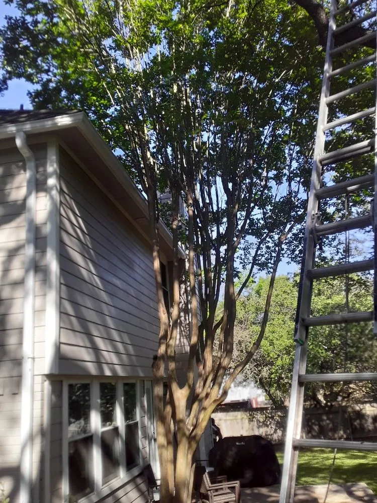 Affordable lawn mowing service in Kyle, TX by Diaz Trimming Services