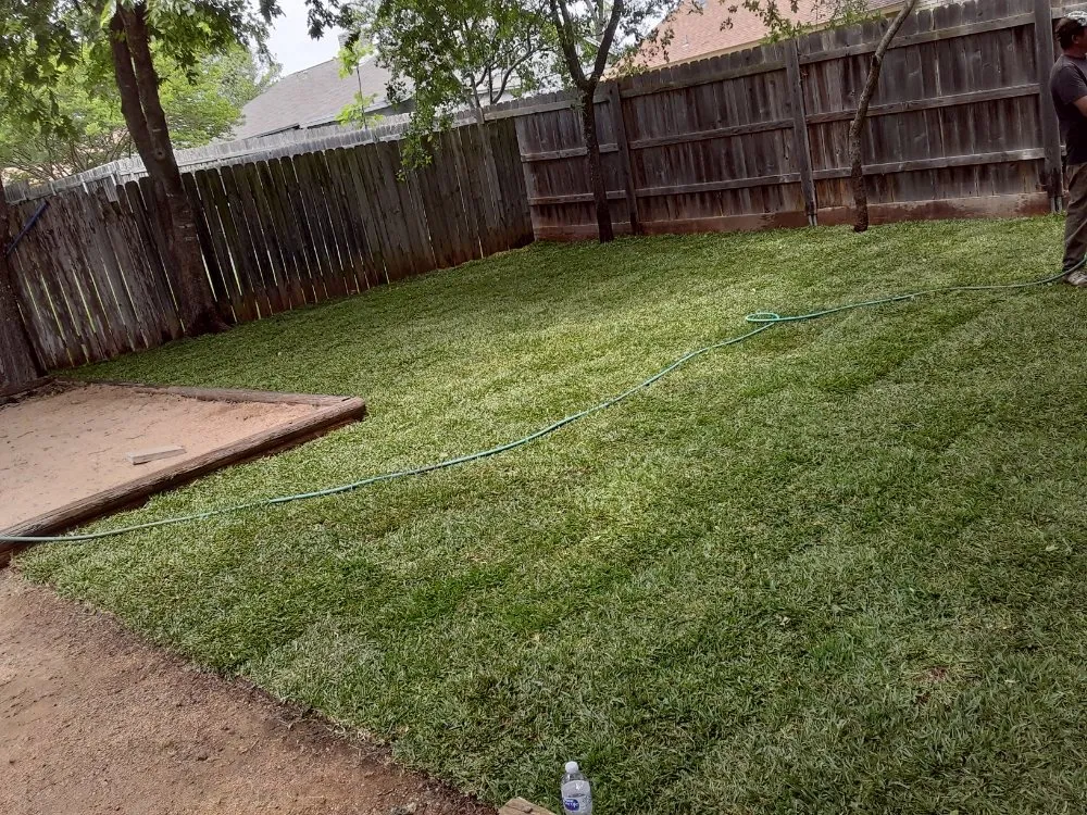 Custom yard maintenance for year-round maintenance across Kyle, TX - Diaz Trimming Services