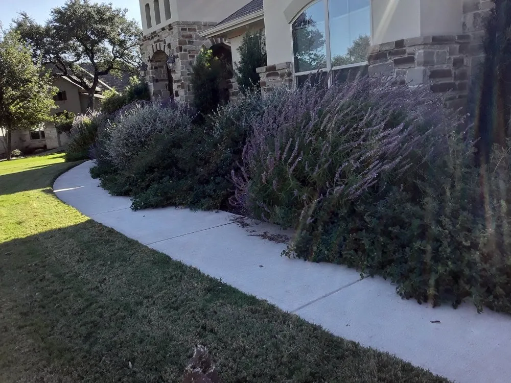 Top-rated lawn mowing service experts serving Kyle, TX - Diaz Trimming Services