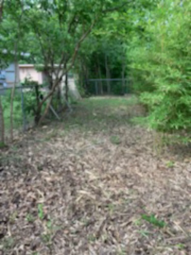 Local landscape design experts serving Kyle, TX - Diaz Trimming Services