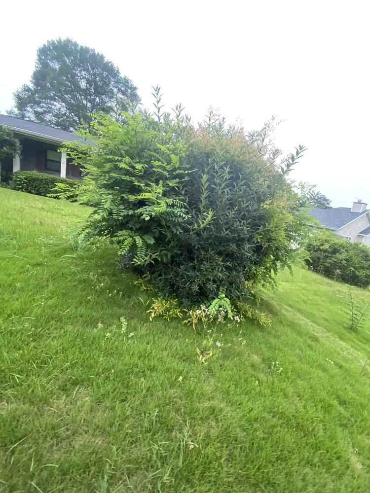 Local lawn care service near you in Villa Rica, GA by DIAZ