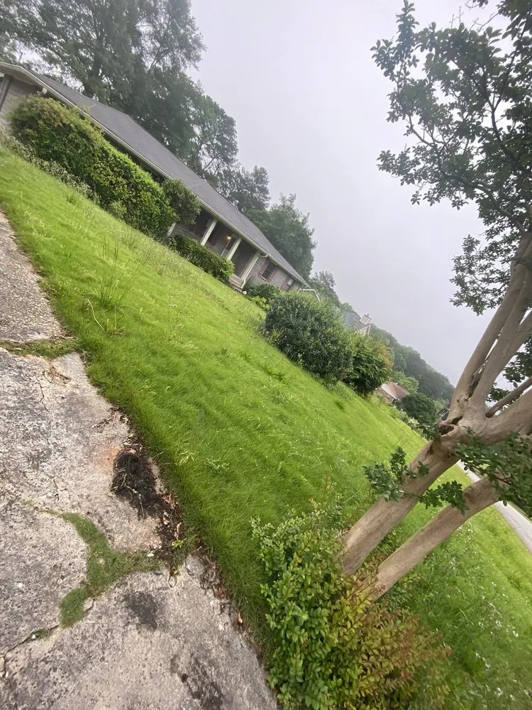 Local yard maintenance in Villa Rica, GA - DIAZ