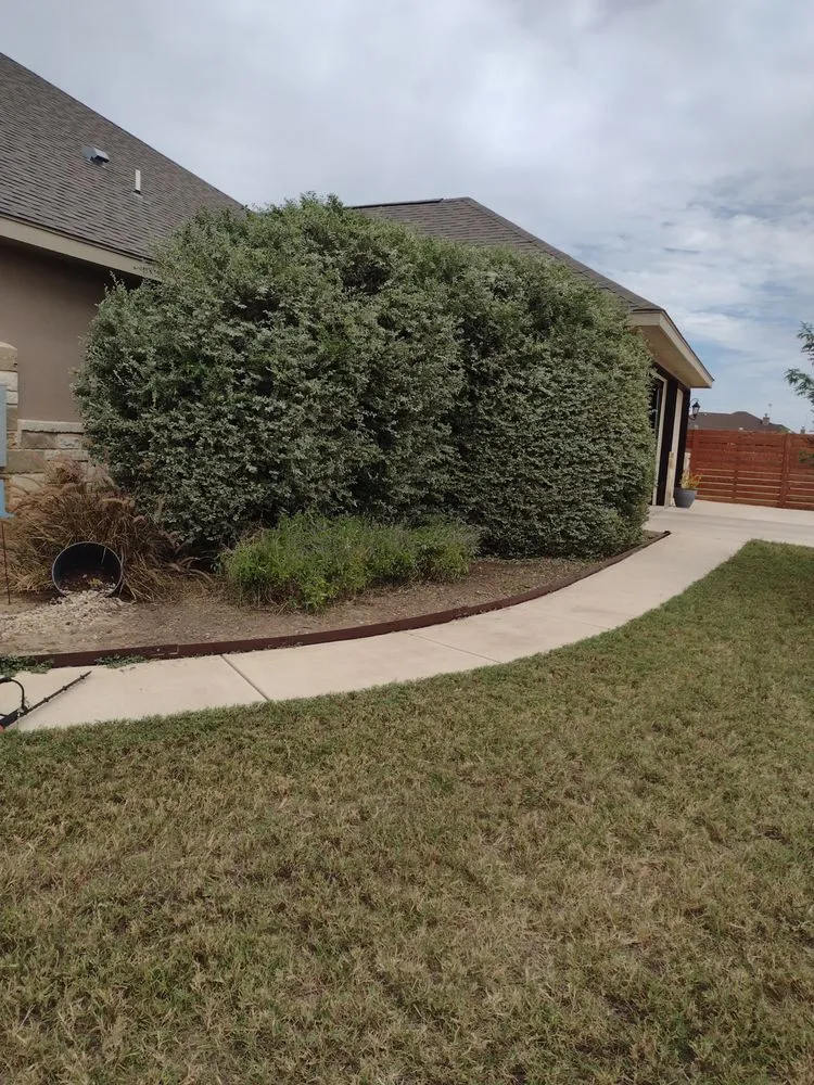 Local landscape design in Floresville, TX by Diaz Yard Service