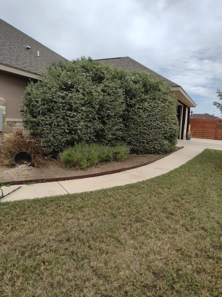 Professional landscape installation in Floresville, TX - Diaz Yard Service