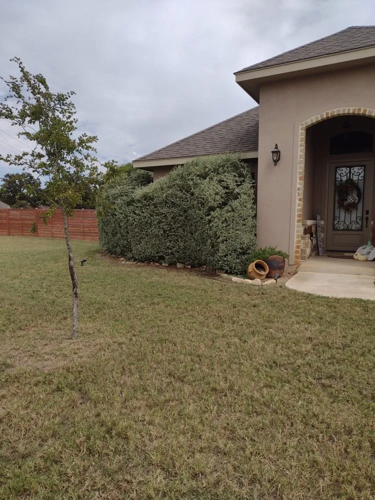 Trusted landscaping services experts serving Floresville, TX - Diaz Yard Service