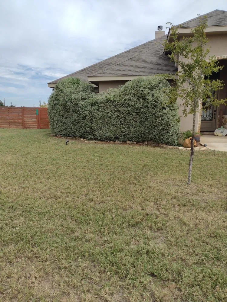 Local landscape design in Floresville, TX by Diaz Yard Service