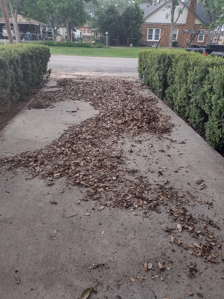 Professional landscape design near you across Floresville, TX - Diaz Yard Service