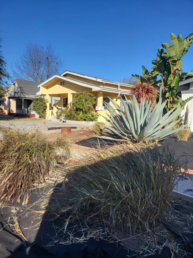 Custom residential landscaping near you in Los Angeles, CA by Diaz's Landscaping and Tree Service