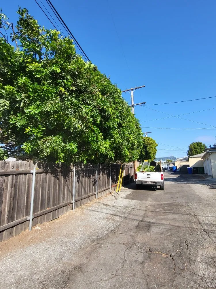 Affordable lawn mowing service experts serving Los Angeles, CA - Diaz's Landscaping and Tree Service