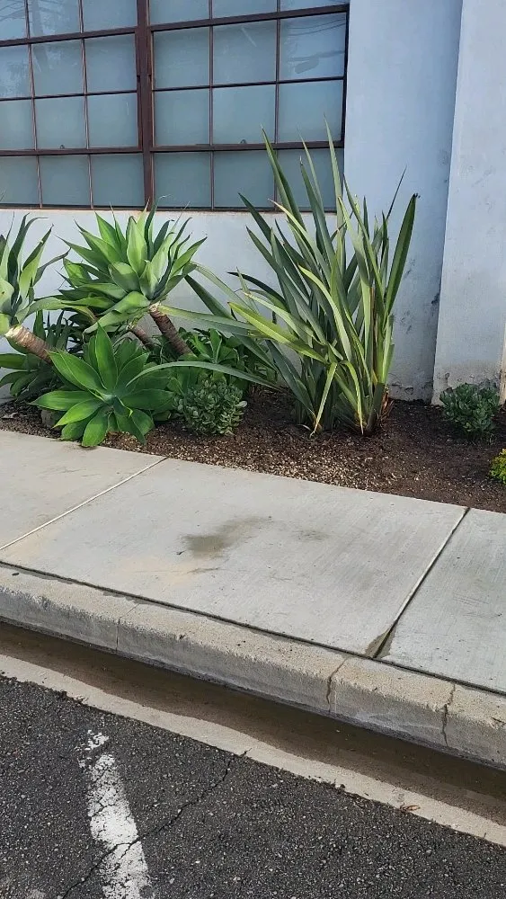 Reliable residential landscaping near you in Los Angeles, CA by Diaz's Landscaping and Tree Service