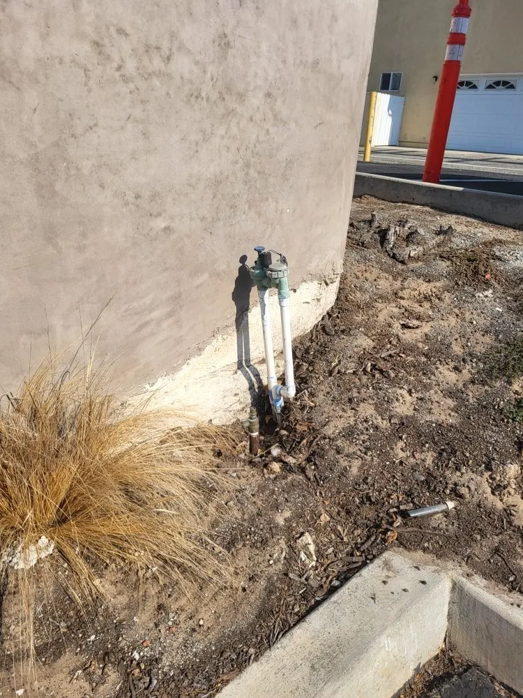 Affordable yard cleanup service in Los Angeles, CA - Diaz's Landscaping and Tree Service