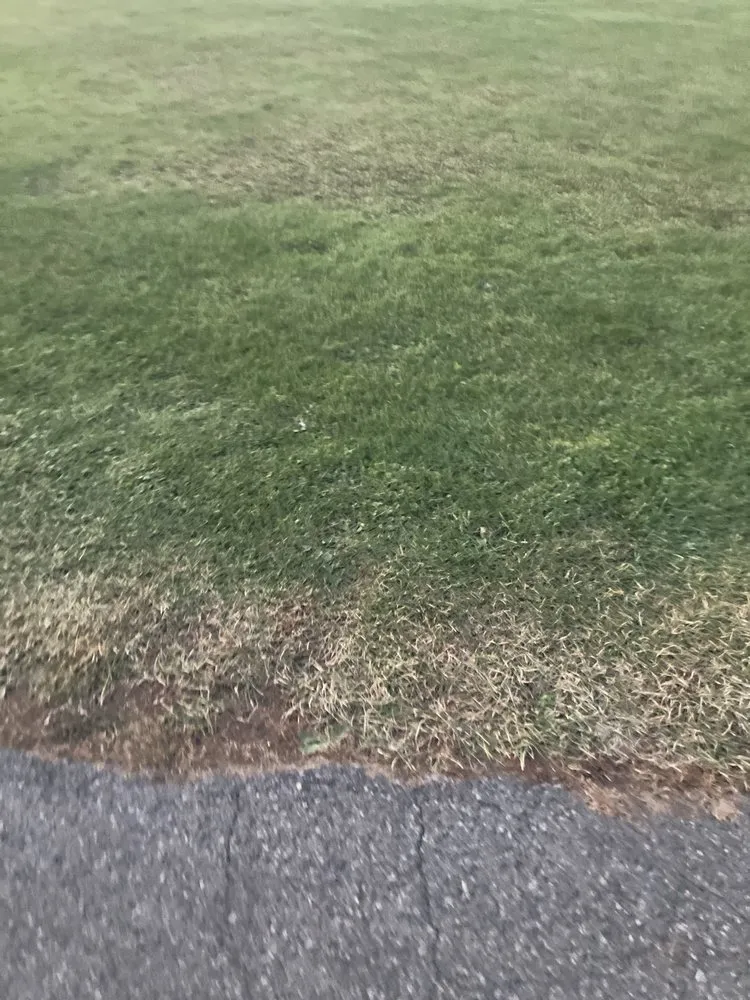 Top-rated yard maintenance in Elkland, PA by Dibble S Mowing And Landscaping