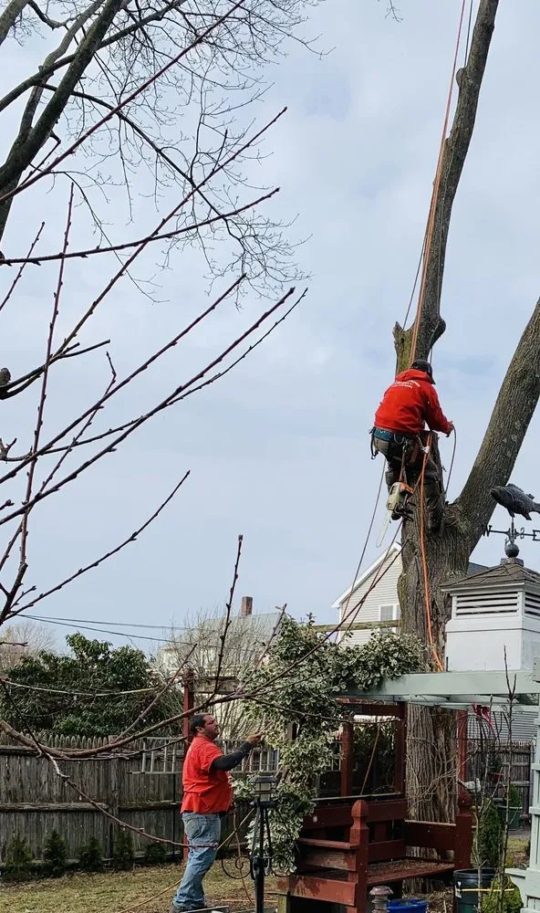 Trusted landscape installation experts serving Quincy, MA - Dibona Landscaping