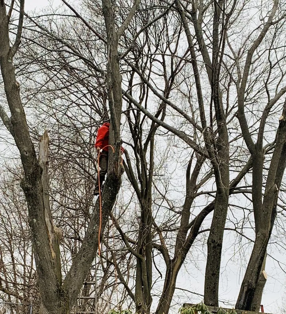 Local outdoor landscaping experts serving Quincy, MA - Dibona Landscaping