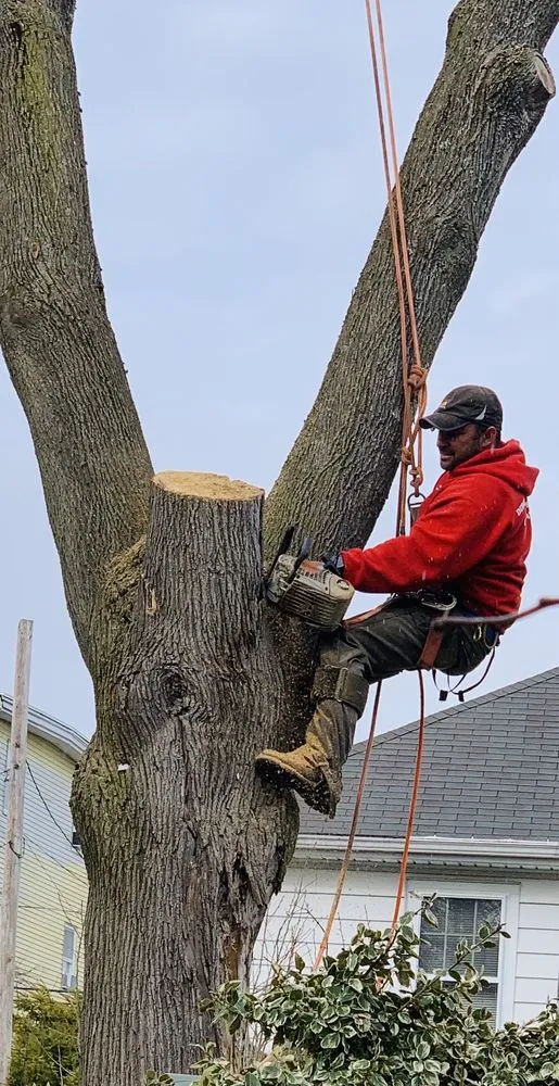 Professional outdoor landscaping experts serving Quincy, MA - Dibona Landscaping