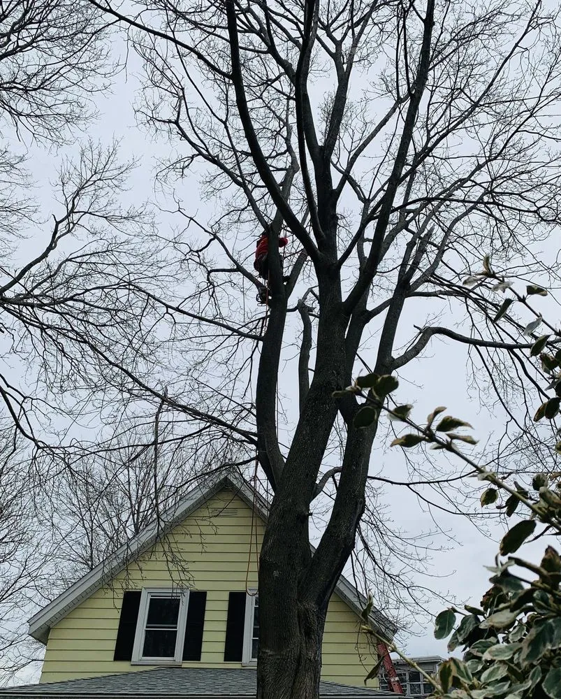 Local yard maintenance in Quincy, MA by Dibona Landscaping