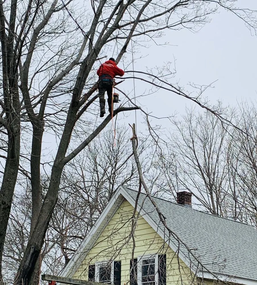 Top-rated yard cleanup service in Quincy, MA by Dibona Landscaping