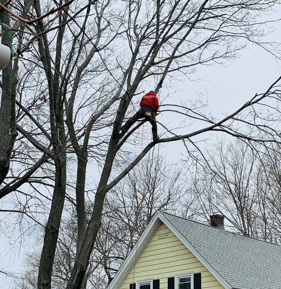 Expert yard maintenance for outdoor upgrades across Quincy, MA - Dibona Landscaping