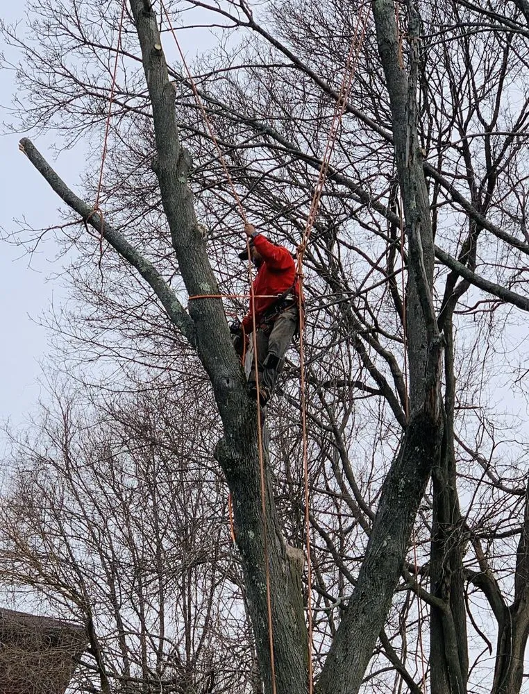 Professional outdoor landscaping in Quincy, MA - Dibona Landscaping