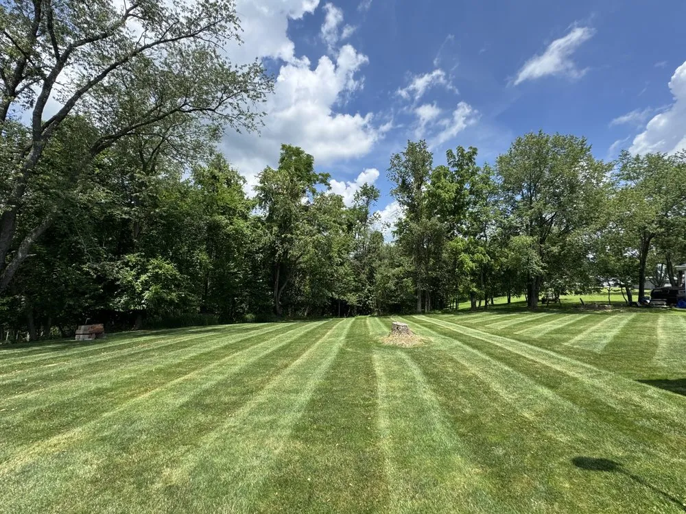 Trusted lawn care service in New Kensington, PA - DiCarolis Bros. Lawn Care