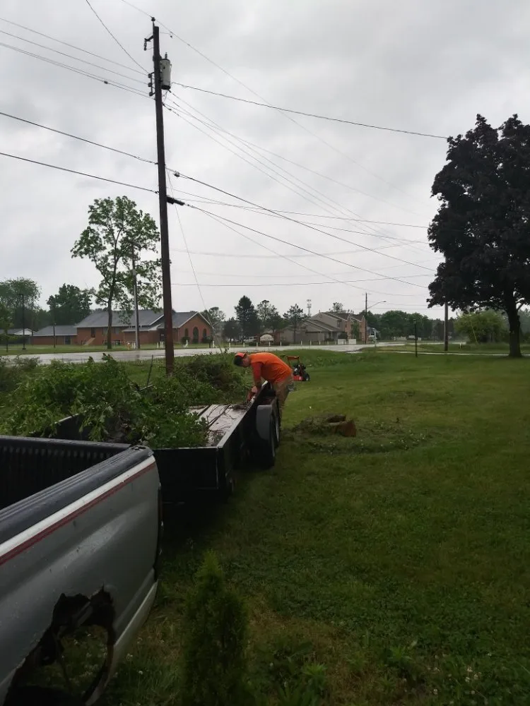 Reliable lawn care service with custom design in Springfield, OH by DiCenso's property management