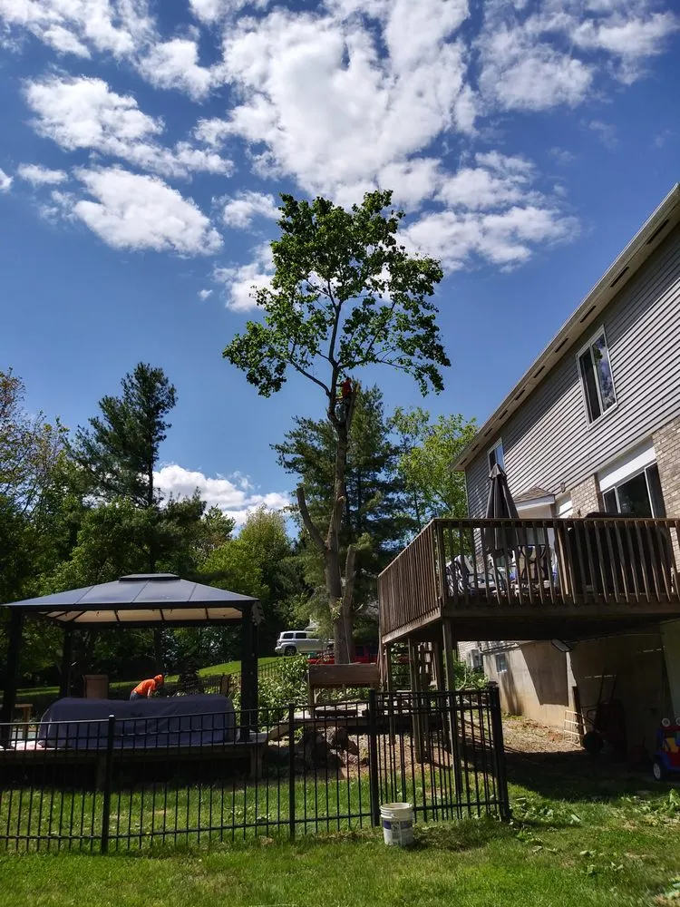 Affordable lawn care service in Springfield, OH by DiCenso's property management