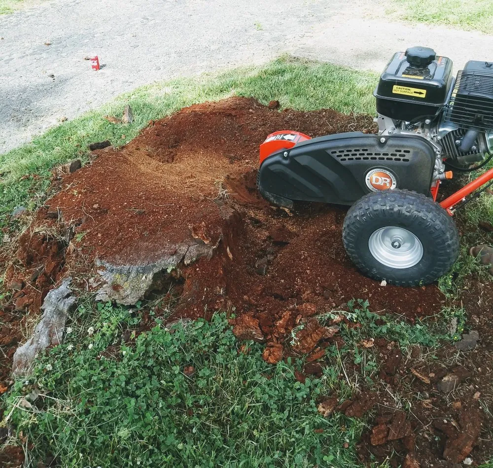 Expert residential landscaping experts serving Springfield, OH - DiCenso's property management