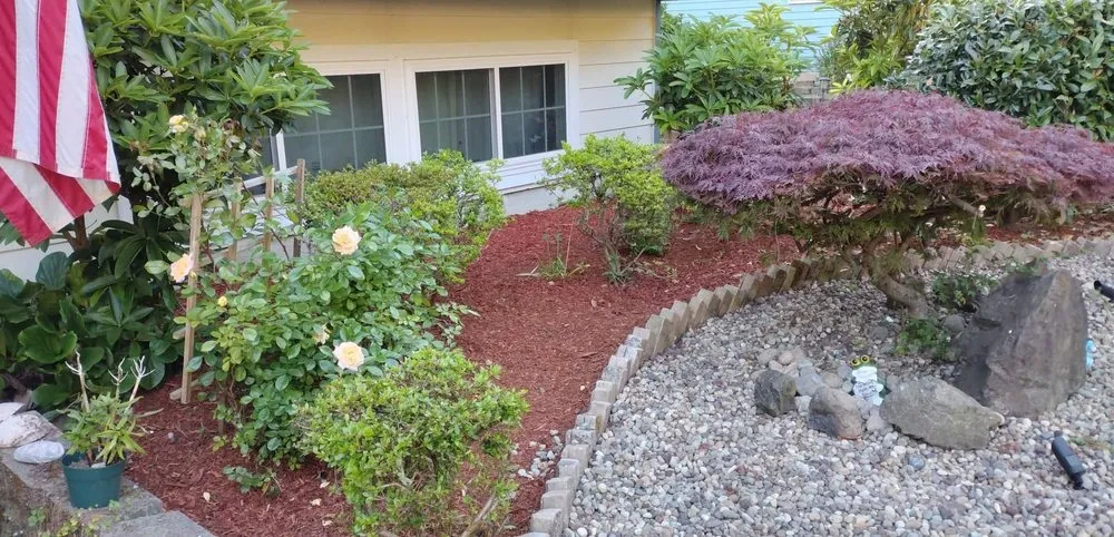 Professional lawn mowing service in Bremerton, WA by Dichesare's Services