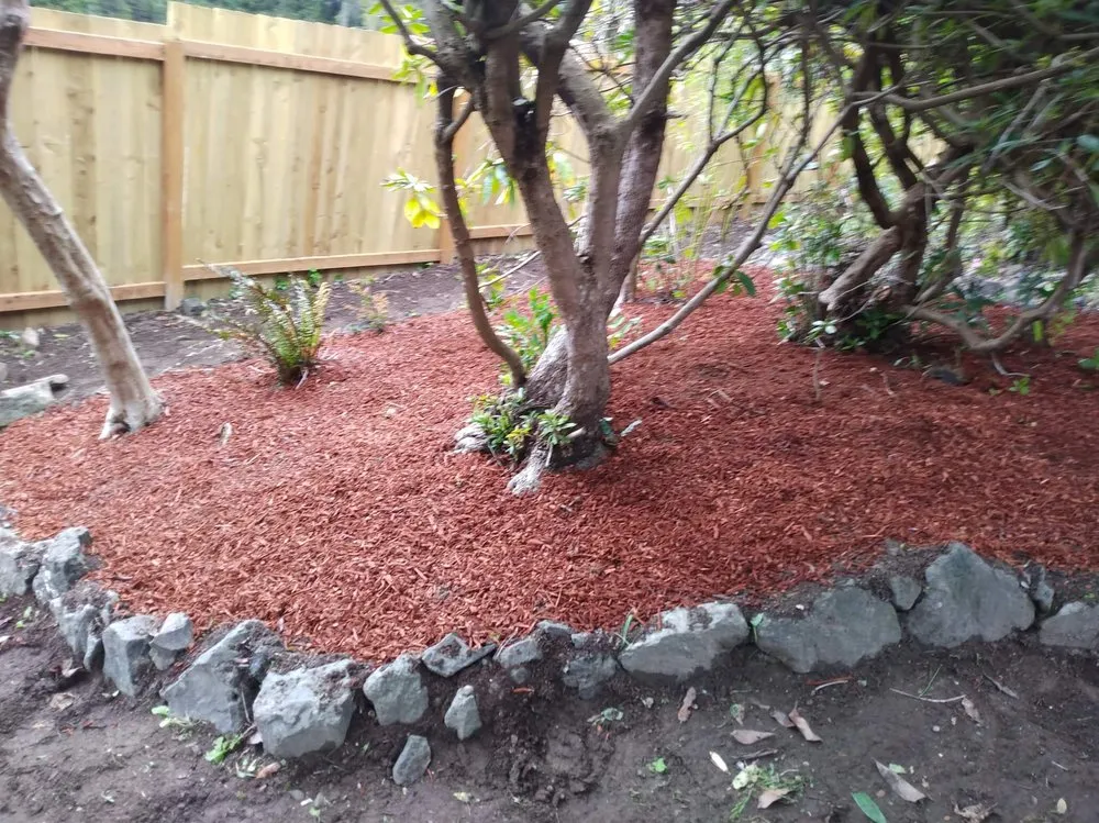 Top-rated yard cleanup service near you across Bremerton, WA - Dichesare's Services
