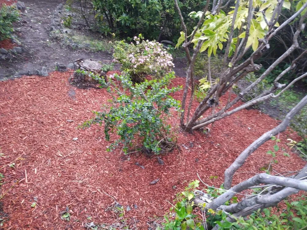 Custom landscape installation experts serving Bremerton, WA - Dichesare's Services