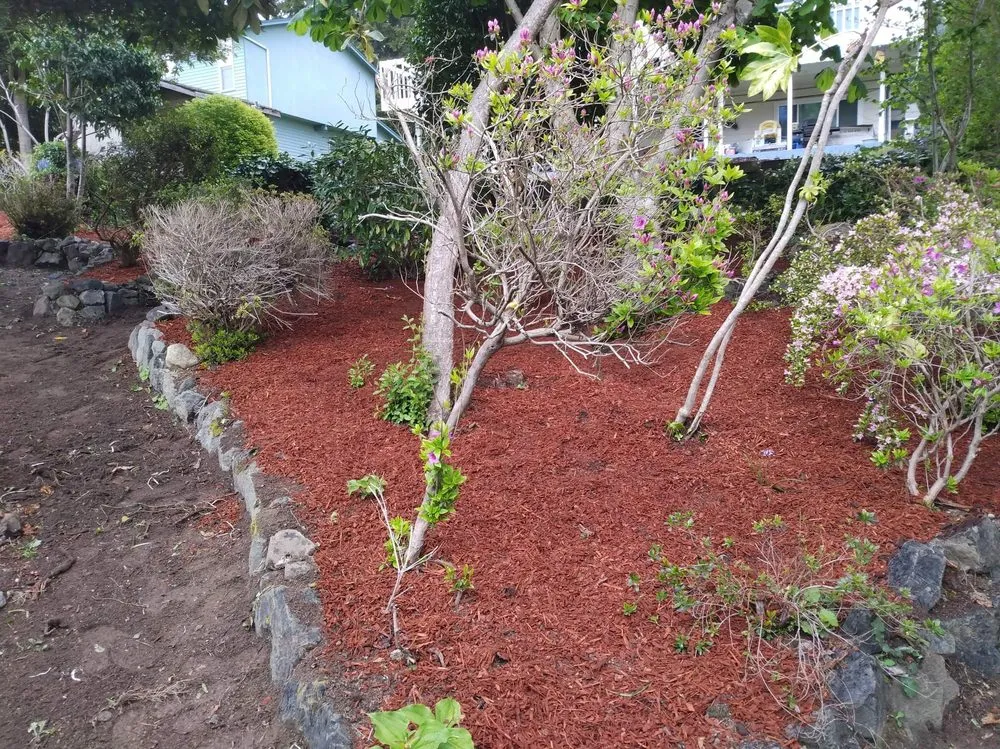 Reliable yard cleanup service for homes across Bremerton, WA - Dichesare's Services