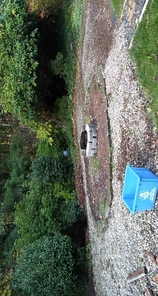 Reliable lawn care service experts serving Bremerton, WA - Dichesare's Services