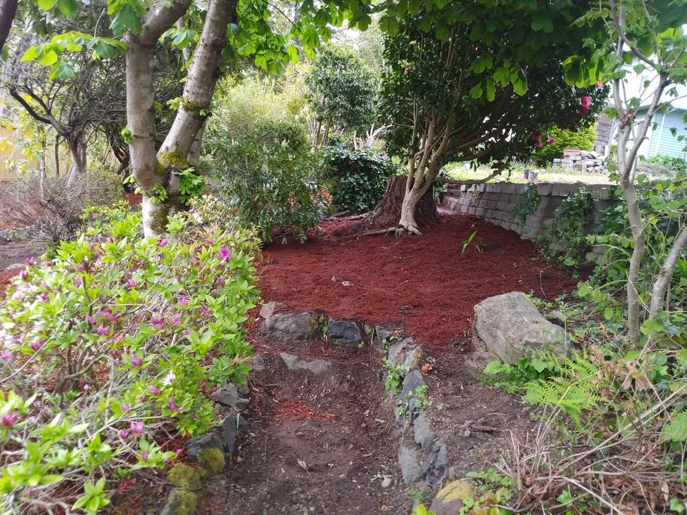 Custom lawn mowing service for beautiful yards in Bremerton, WA by Dichesare's Services