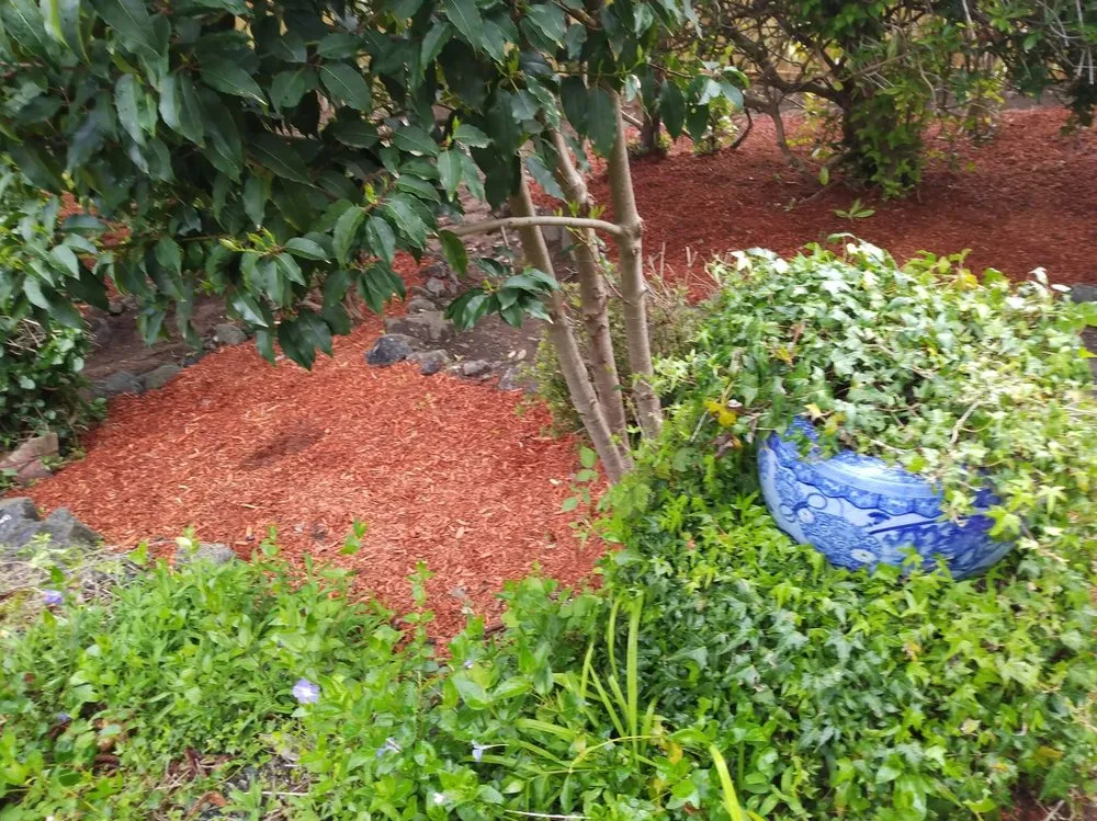 Affordable garden landscaping near you across Bremerton, WA - Dichesare's Services