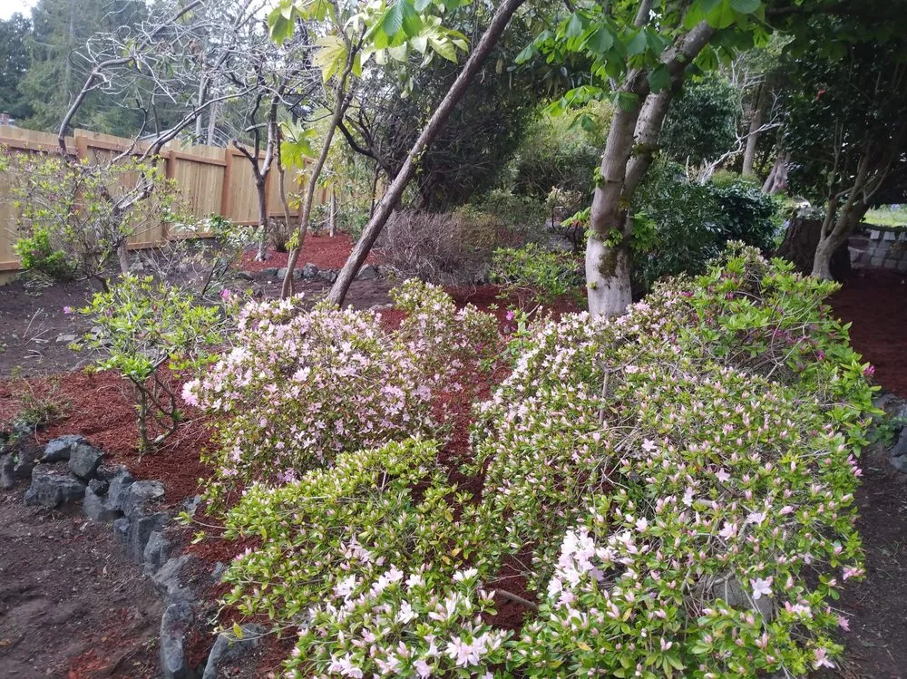 Custom landscape design experts serving Bremerton, WA - Dichesare's Services