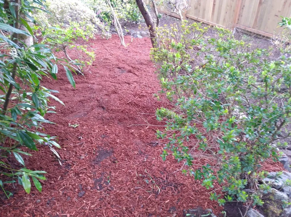 Expert landscape installation in Bremerton, WA by Dichesare's Services