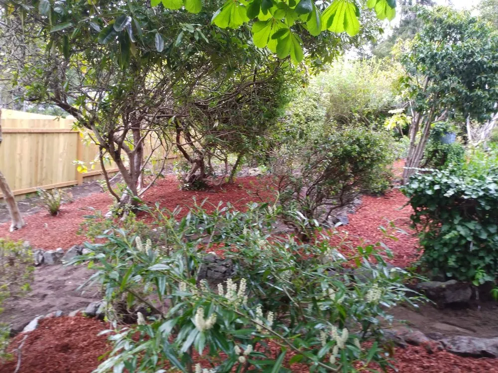 Custom lawn care service in Bremerton, WA by Dichesare's Services