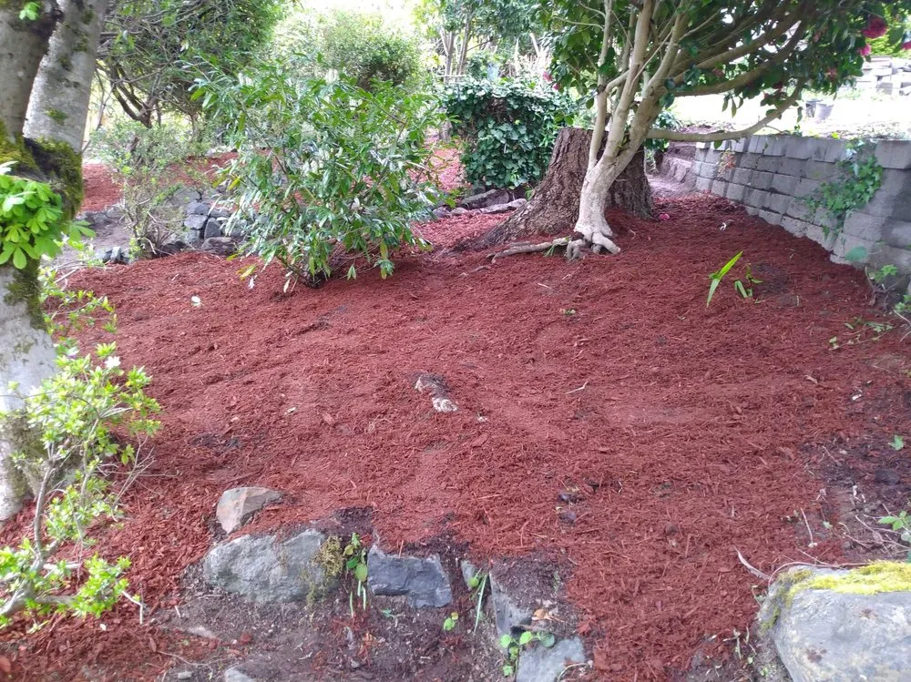 Trusted landscaping services near you across Bremerton, WA - Dichesare's Services