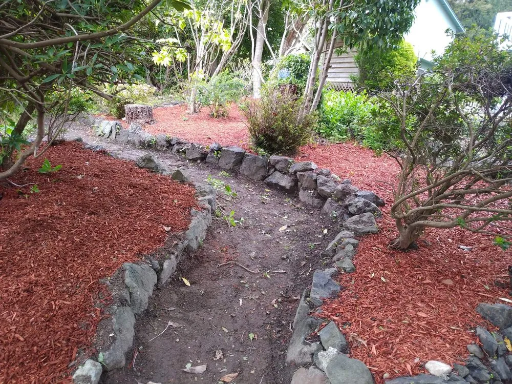 Professional yard maintenance in Bremerton, WA by Dichesare's Services