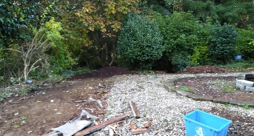 Trusted landscaping services experts serving Bremerton, WA - Dichesare's Services