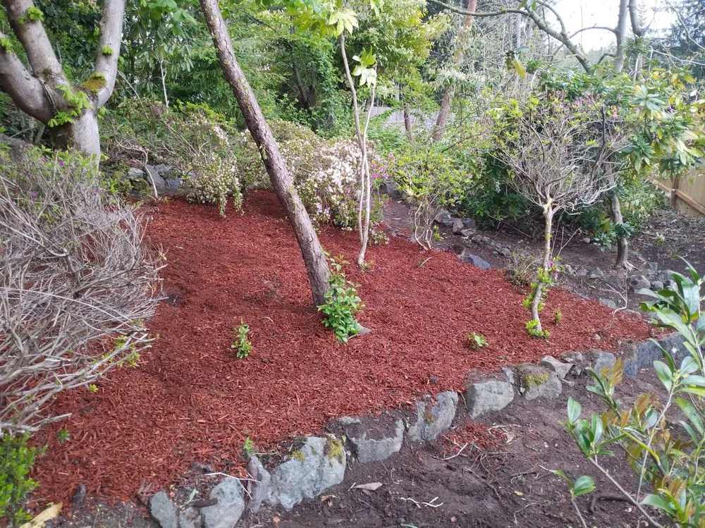 Top-rated landscape installation in Bremerton, WA by Dichesare's Services