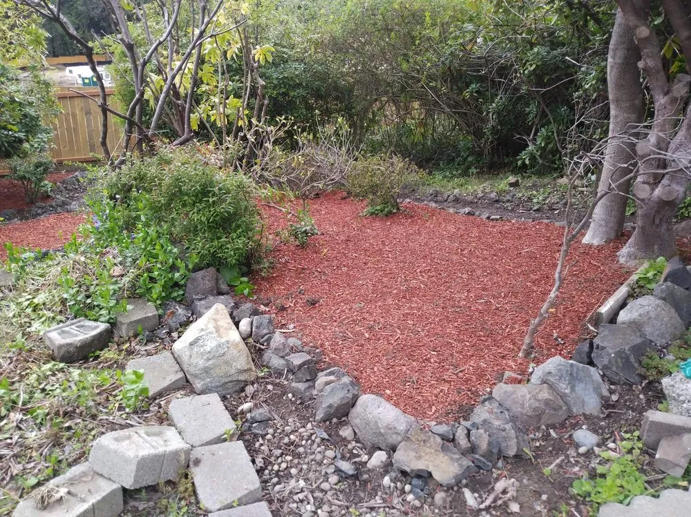 Local lawn mowing service in Bremerton, WA by Dichesare's Services