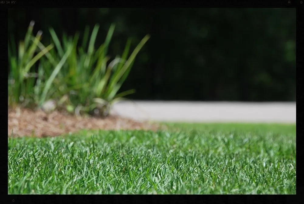 Reliable garden landscaping for beautiful yards across Lloyd, FL - Dickerson Landscaping & Lawn Care | Tallahassee, FL