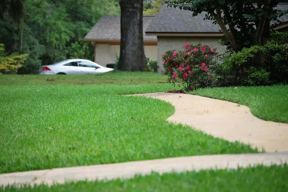 Professional landscape installation in Lloyd, FL - Dickerson Landscaping & Lawn Care | Tallahassee, FL