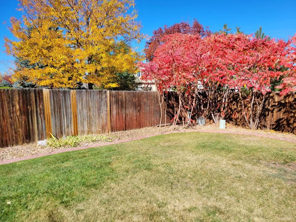Local landscape design in Aurora, CO - Dickersons Tree and Lawn Care