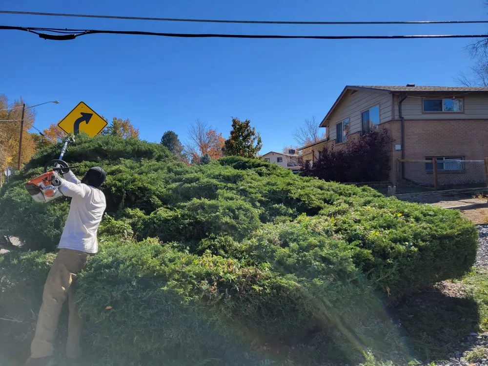 Trusted garden landscaping experts serving Aurora, CO - Dickersons Tree and Lawn Care