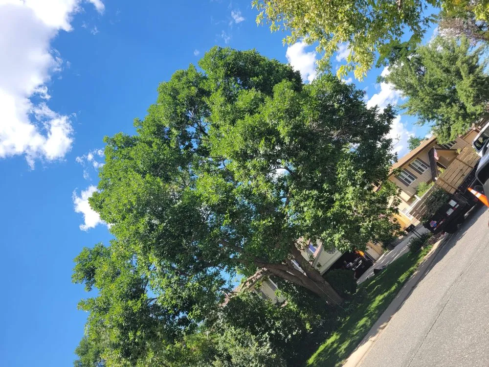 Reliable residential landscaping in Aurora, CO - Dickersons Tree and Lawn Care